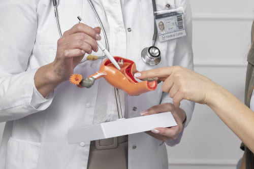 Nefrectomía pre-sacra por laparoscopia